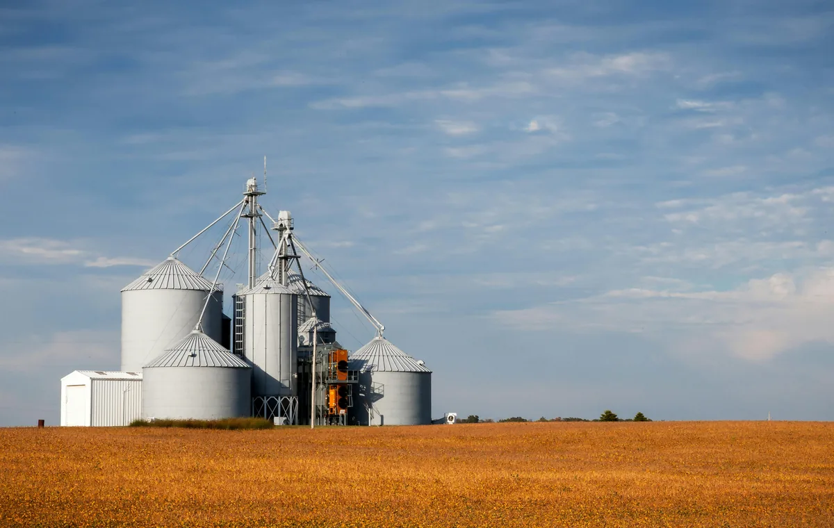 Rows of steel storage silos for granular material